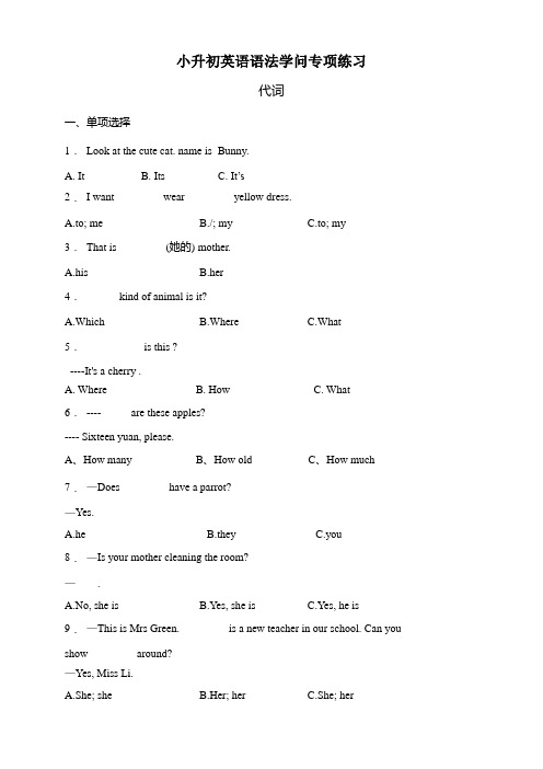 小升初英语语法专项练习-【代词】全国通用(含答案及详细解析)