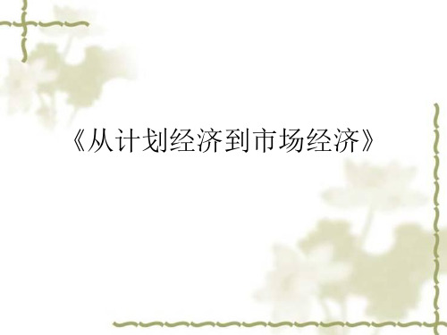 《从计划经济到市场经济》
