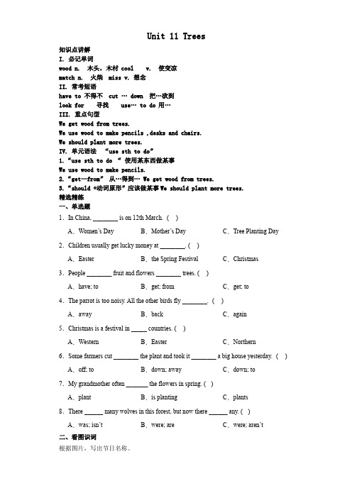 Unit11Trees知识点讲解精选精练(讲义)沪教牛津版(深圳用)英语六年级上册