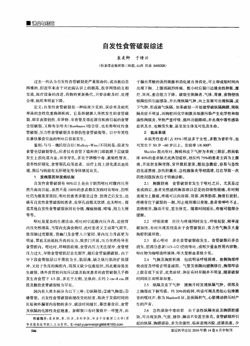 自发性食管破裂综述