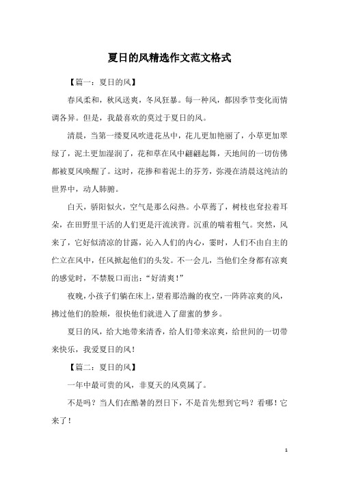 夏日的风精选作文范文格式