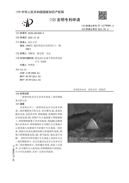 一种利用电化学方法单步制备三角形铜纳米片的方法[发明专利]