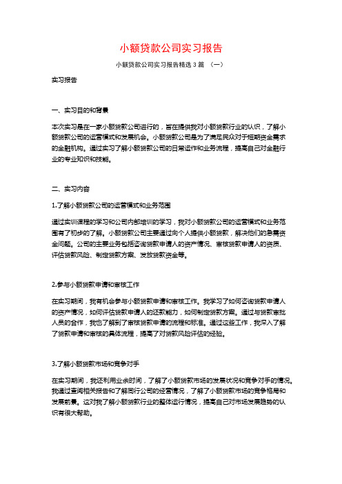 小额贷款公司实习报告3篇