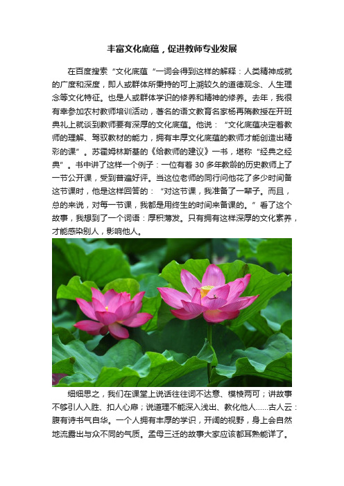 丰富文化底蕴，促进教师专业发展