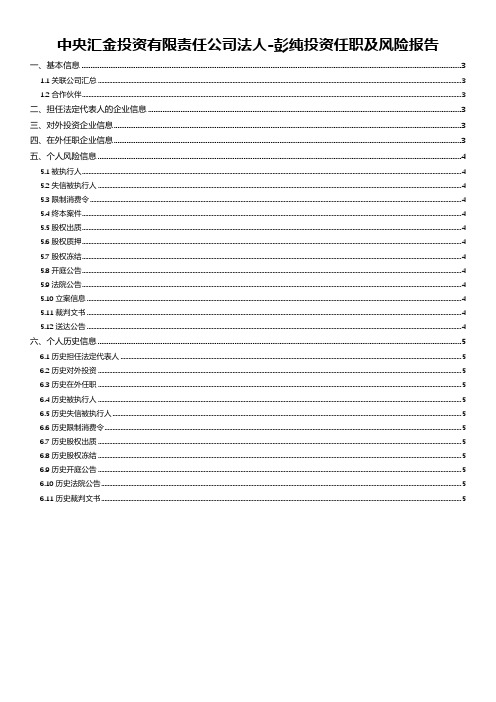 中央汇金投资有限责任公司法人-彭纯投资任职及风险报告