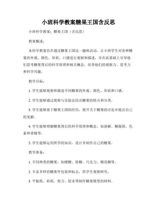 小班科学教案糖果王国含反思