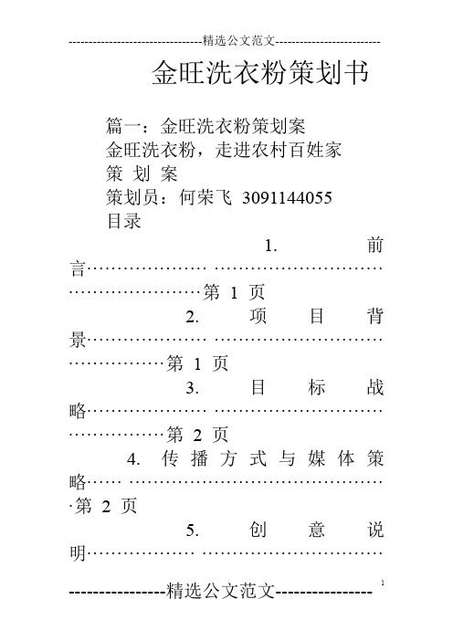 金旺洗衣粉策划书