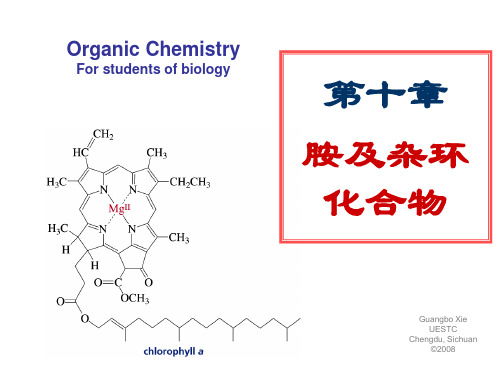 第十章 胺及杂环化合物