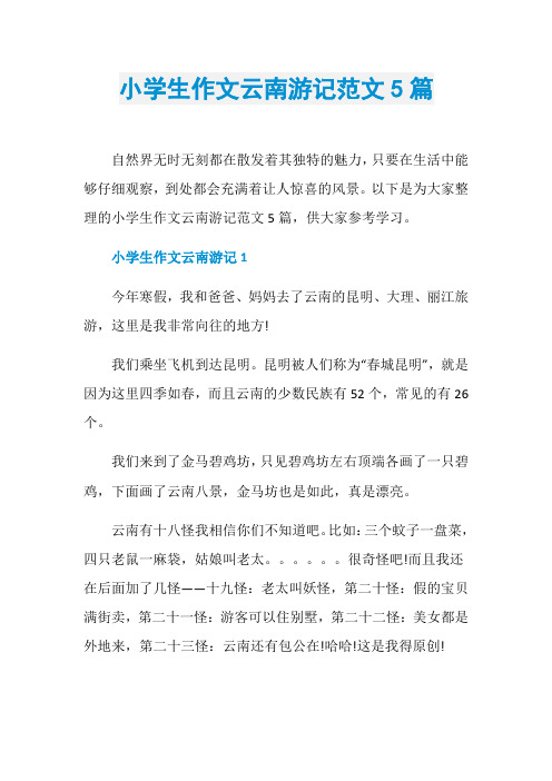 小学生作文云南游记范文5篇