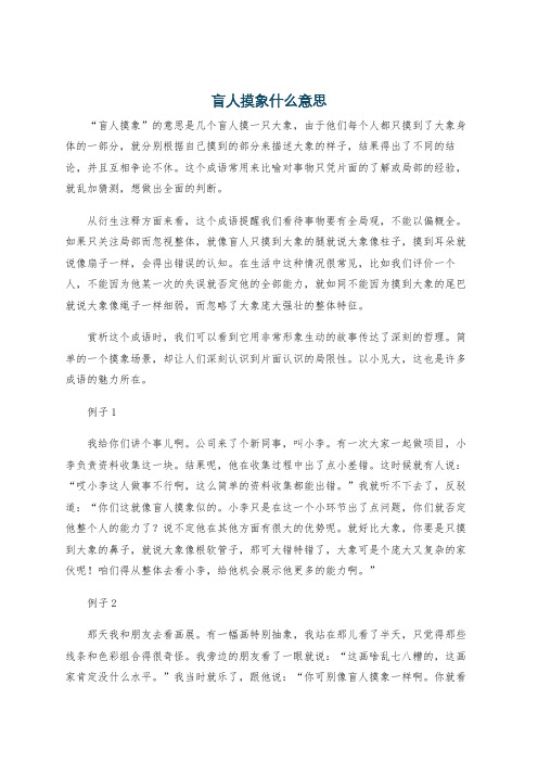 盲人摸象什么意思