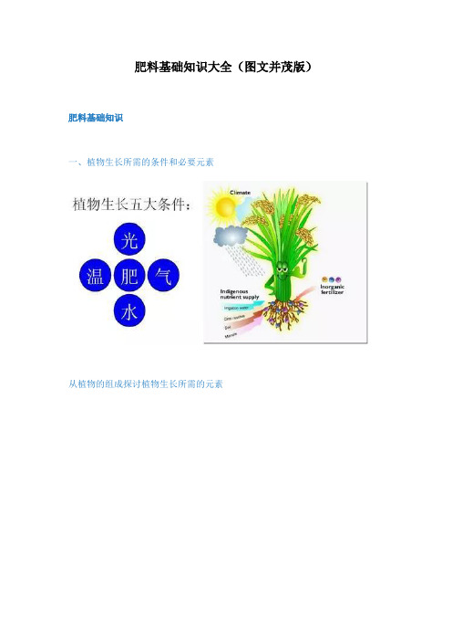 肥料基础知识大全(图文并茂版)