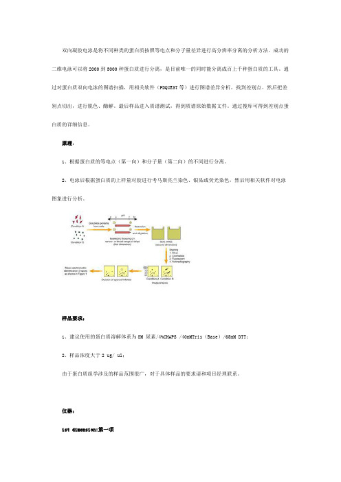 双向凝胶电泳