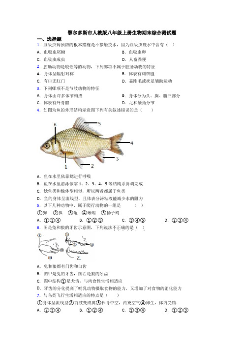 鄂尔多斯市人教版八年级上册生物期末综合测试题