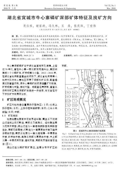 湖北省宜城市牛心寨磷矿深部矿体特征及找矿方向