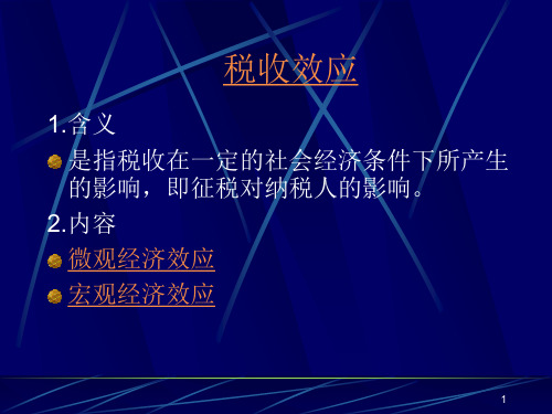 税收的经济效应PPT68页