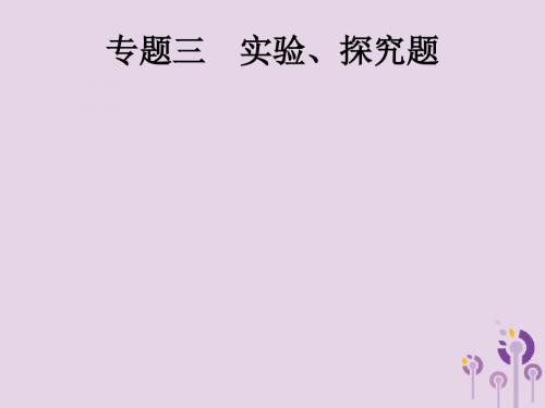 (课标通用)甘肃省2019年中考物理总复习专题三实验、探究题课件