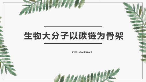 1.2 生物大分子以碳链为骨架2019浙科版新版高中生物必修一