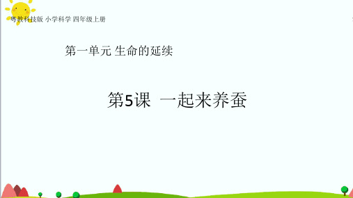 粤教粤科版小学科学四年级上册：1.5《一起来养蚕》课件