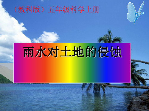 雨水对土地的侵蚀 课件(教科版五年级科学上册)