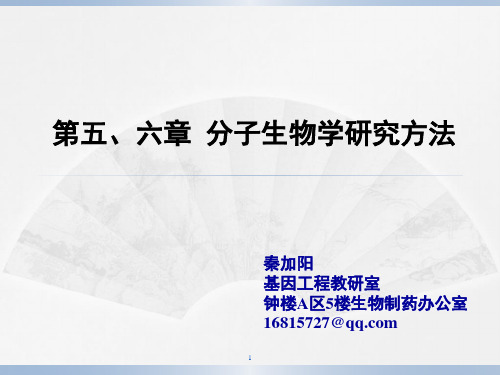 专题一：序列已知基因的克隆策略