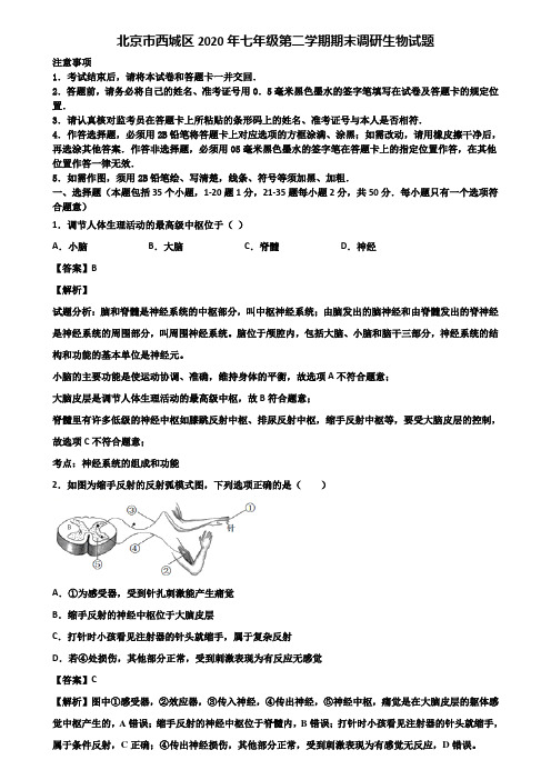 北京市西城区2020年七年级第二学期期末调研生物试题含解析