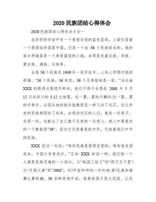 2020民族团结心得体会