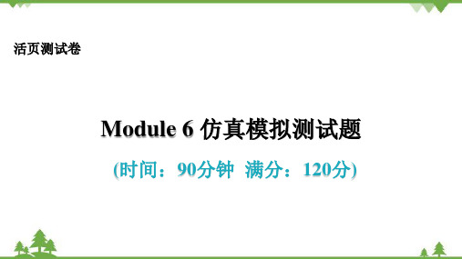 外研版英语九年级上册Module 6 Problems 仿真模拟测试题课件(共85张PPT)