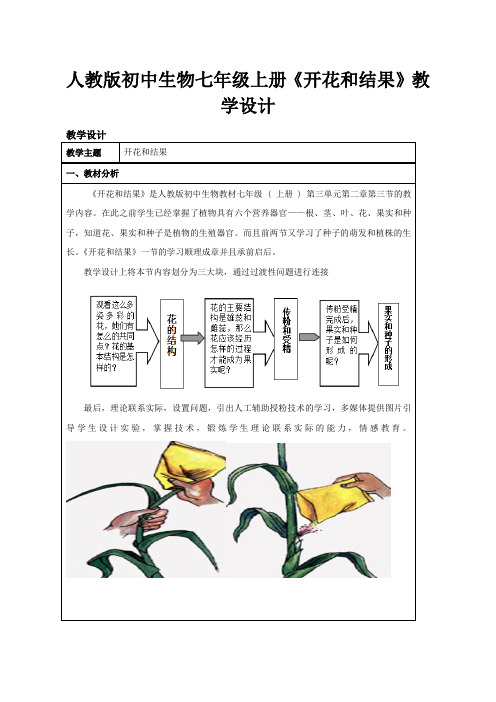 人教版初中生物七年级上册《开花和结果》教学设计