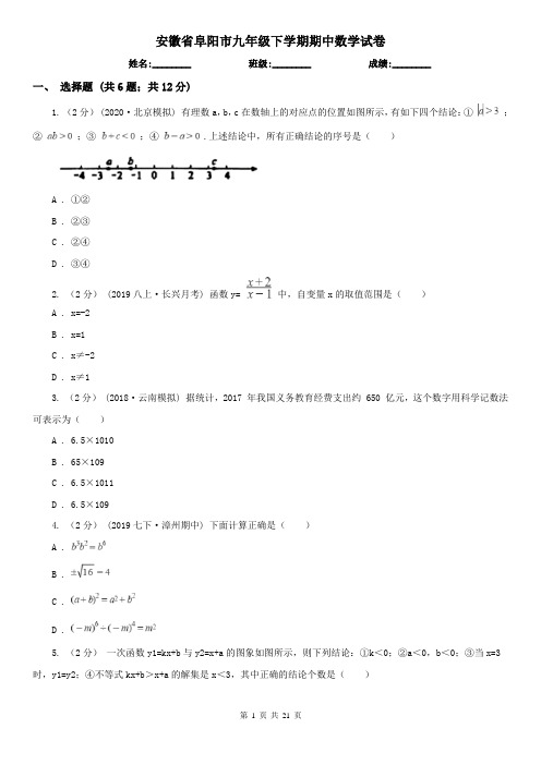 安徽省阜阳市九年级下学期期中数学试卷