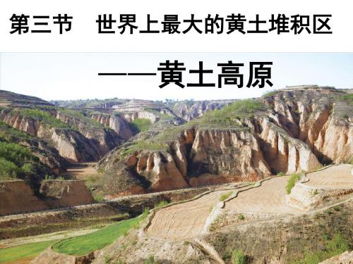 八年级地理下册6.3世界最大的黄土堆积区——黄土高原