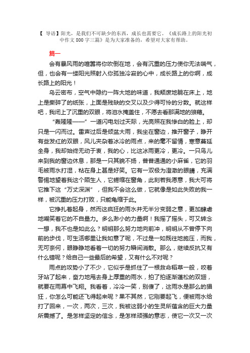 成长路上的阳光初中作文800字三篇