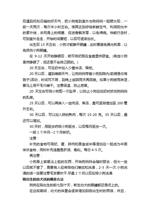 刚出生的小狗应该这样养