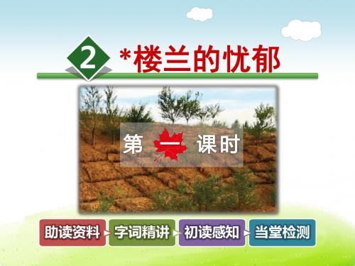 楼兰的忧郁PPT课件6下冀教版精品2