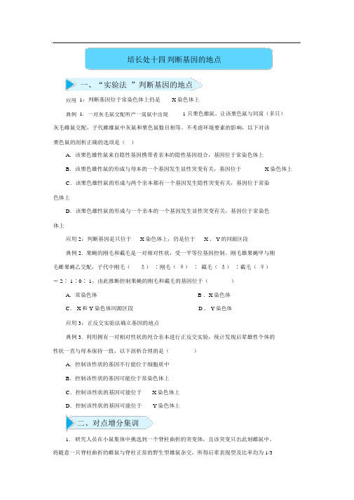 2020届高三生物精准培优专练：十四判断基因的位置