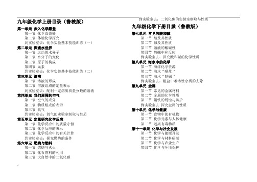 九年级化学目录(鲁教版)