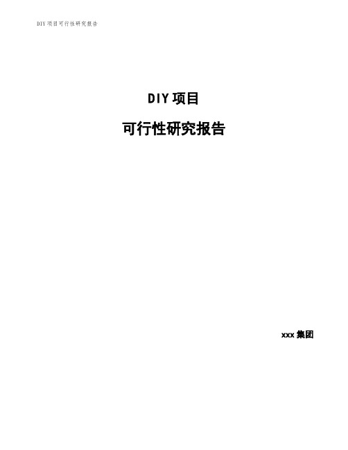 DIY项目可行性研究报告