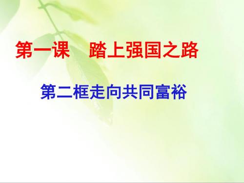 人教版道德与法治九上册 1.2走向共同富裕  课件 (共20张PPT)