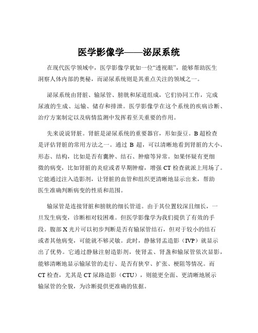 医学影像学——泌尿系统