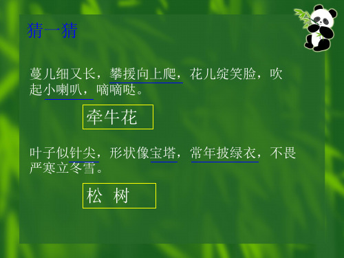 《我喜爱的植物》教学课件