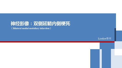 双侧延髓内侧梗死 ppt课件