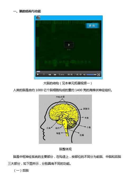 脑的结构与功能——学习材料