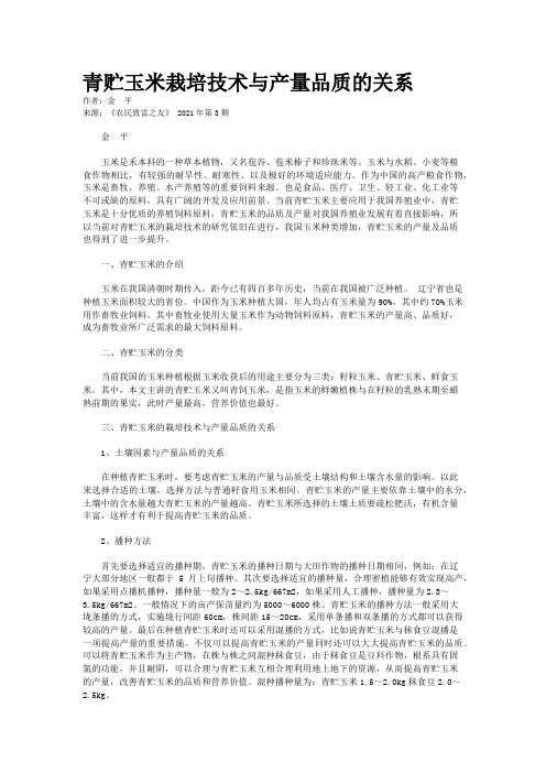 青贮玉米栽培技术与产量品质的关系