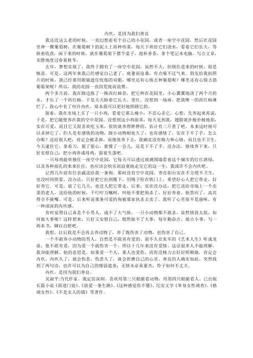 高中大语文阅读之做人与处世：内疚,是因为我们善良