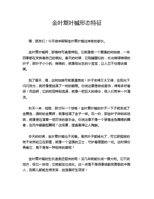 金叶复叶槭形态特征