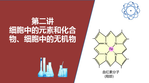 第二讲：细胞中的元素、化合物、无机物(33张PPT)