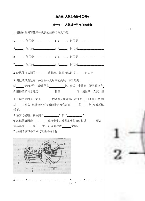 鲁科版七年级下册生物 第四单元 第六章 第七章 知识点复习(填空式 ,有答案)