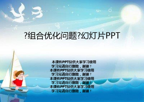 《组合优化问题》幻灯片PPT