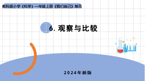 2024秋教科版小学一年级科学上册课件  2.6《观察与比较》课件