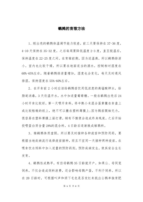 鹌鹑的育雏方法