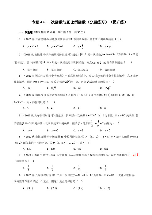 一次函数与正比例函数(分层练习)(提升练)-八年级数学上册基础知识专项突破讲与练(北师大版)